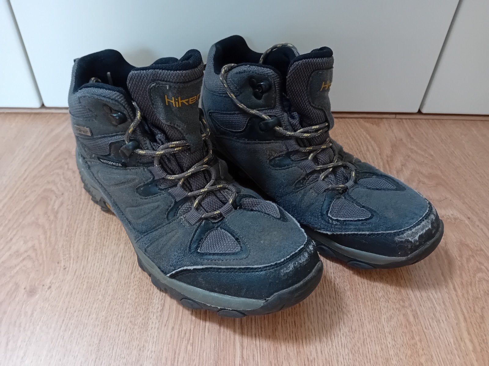 GRATIS Oude Wandelschoenen maat 39 - afhalen Leusden, Ophalen, Gebruikt, Schoenen