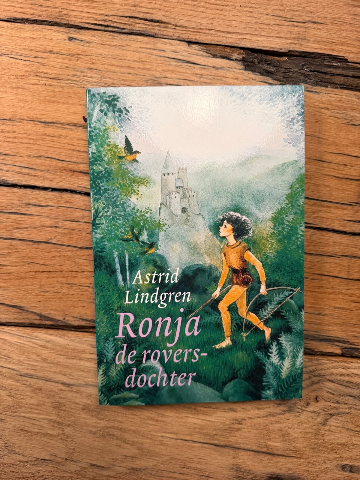 Ronja de roversdochter - Astrid Lindgren, Ophalen of Verzenden, Zo goed als nieuw, Fictie