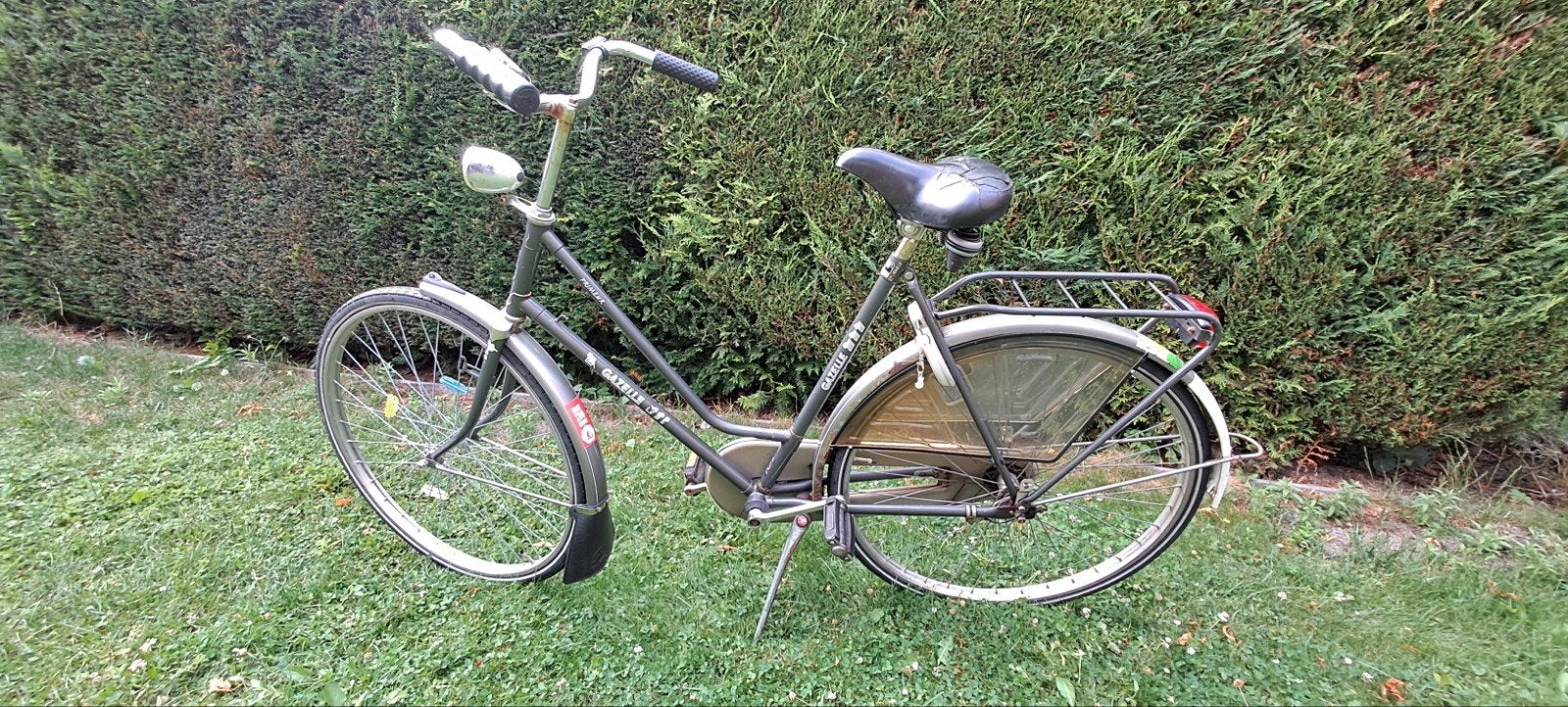 Gazelle Primeur Damesfiets, Ophalen