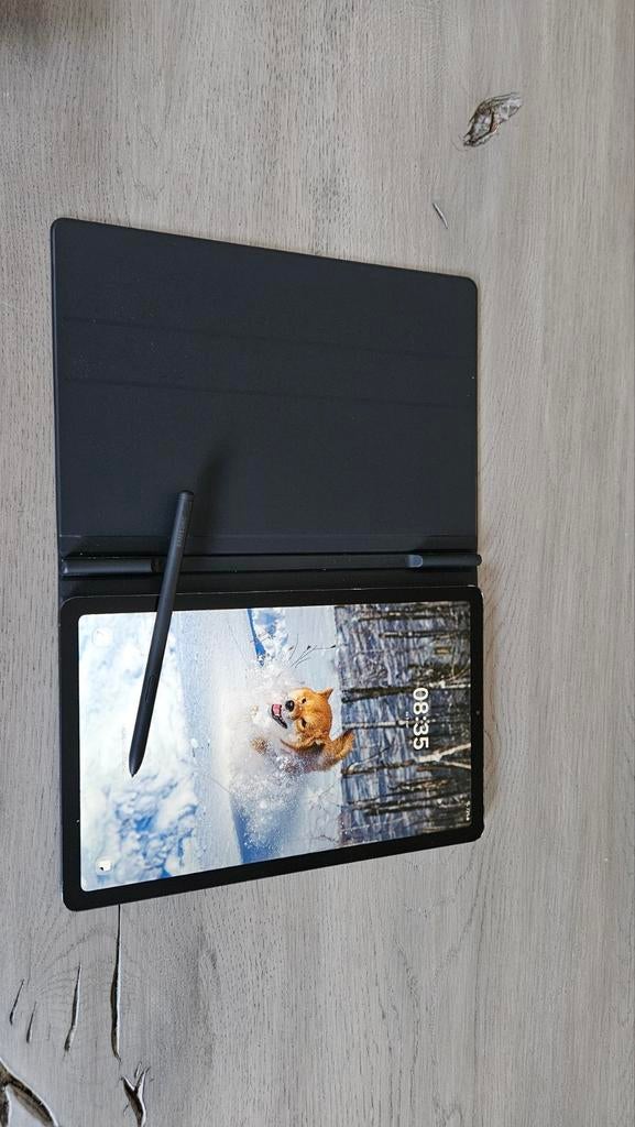 Samsung Galaxy Tab S6 Lite 64 GB met S Pen en hoes, Computers en Software, Windows Tablets, Gebruikt, Wi-Fi, 10 inch, 64 GB, Uitbreidbaar geheugen