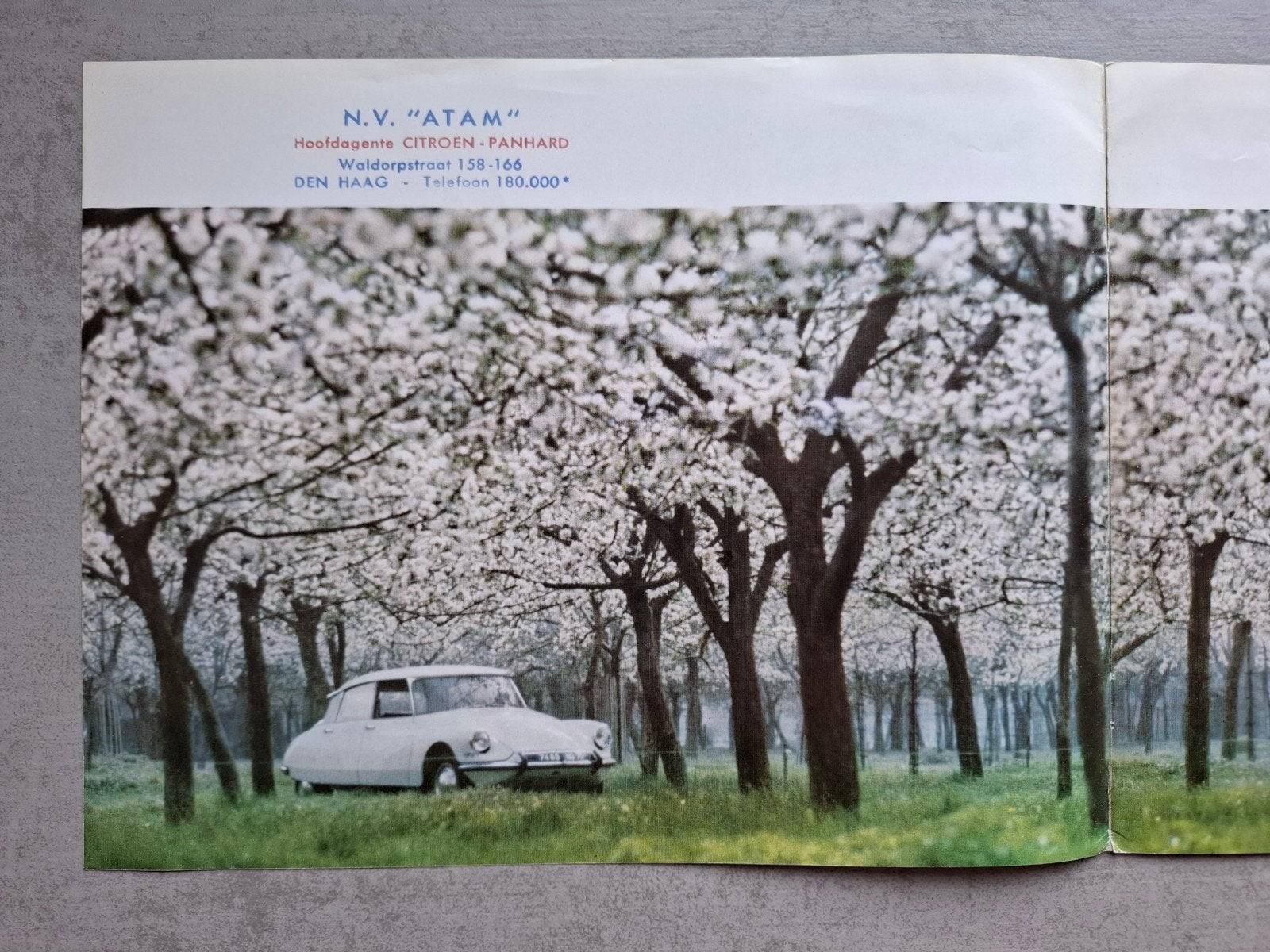Citroën DS 19 brochure - 1963, Ophalen of Verzenden, Gelezen, Citroën