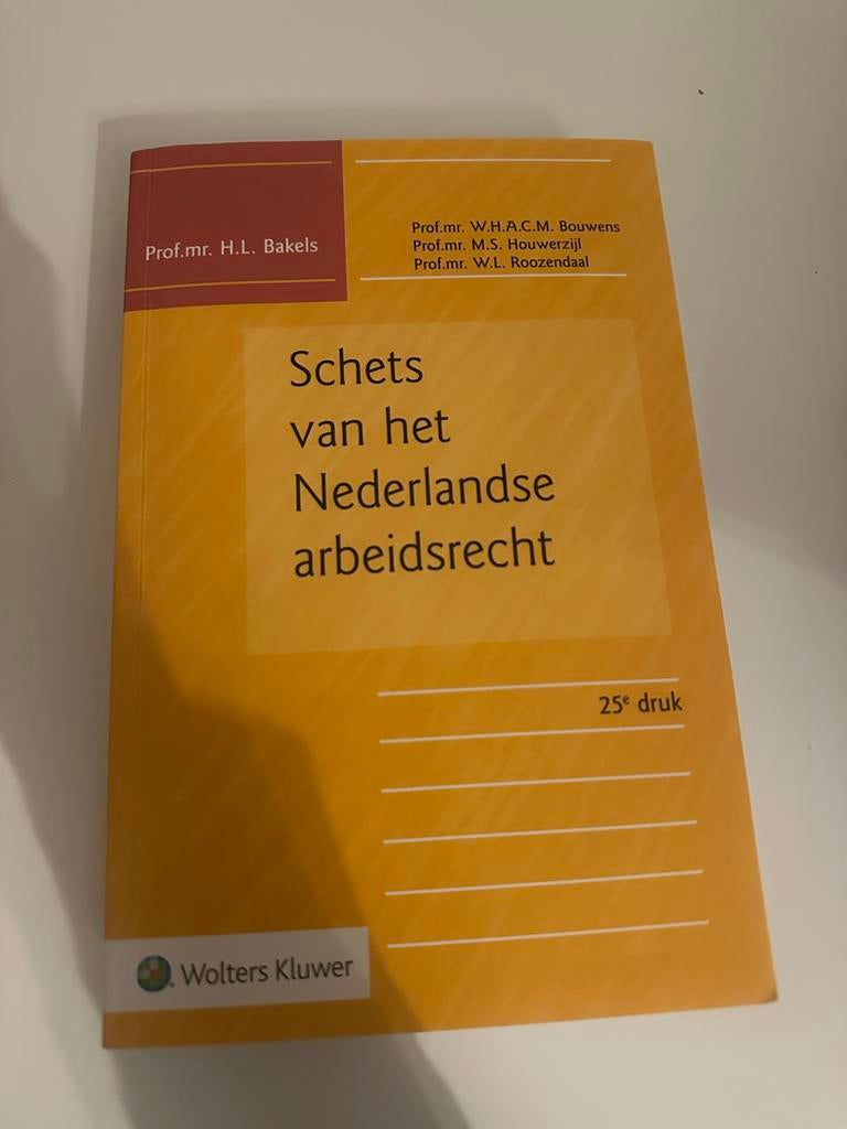 Schets van het Nederlandse arbeidsrecht 25e druk, Boeken, Ophalen of Verzenden, Gamma, Zo goed als nieuw, WO