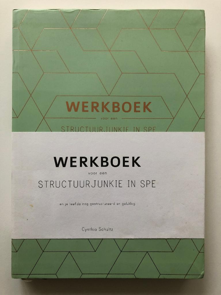 Werkboek voor een structuurjunkie in spe, Verzenden, Auteur Cynthia Schultz, Ontwikkelingspsychologie, Zo goed als nieuw