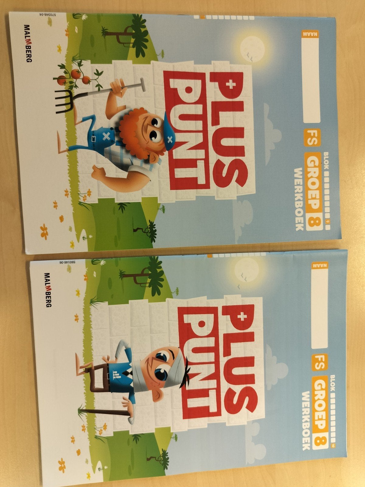 Pluspunt Rekenmethode Werkboeken Groep 8 Blok 9 & 10, Overige vakken, Malmberg, Ophalen of Verzenden, Zo goed als nieuw