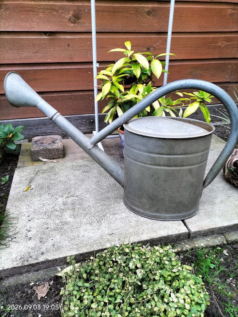 Zinken Tuingieter, Ophalen of Verzenden, Gebruikt, Metaal