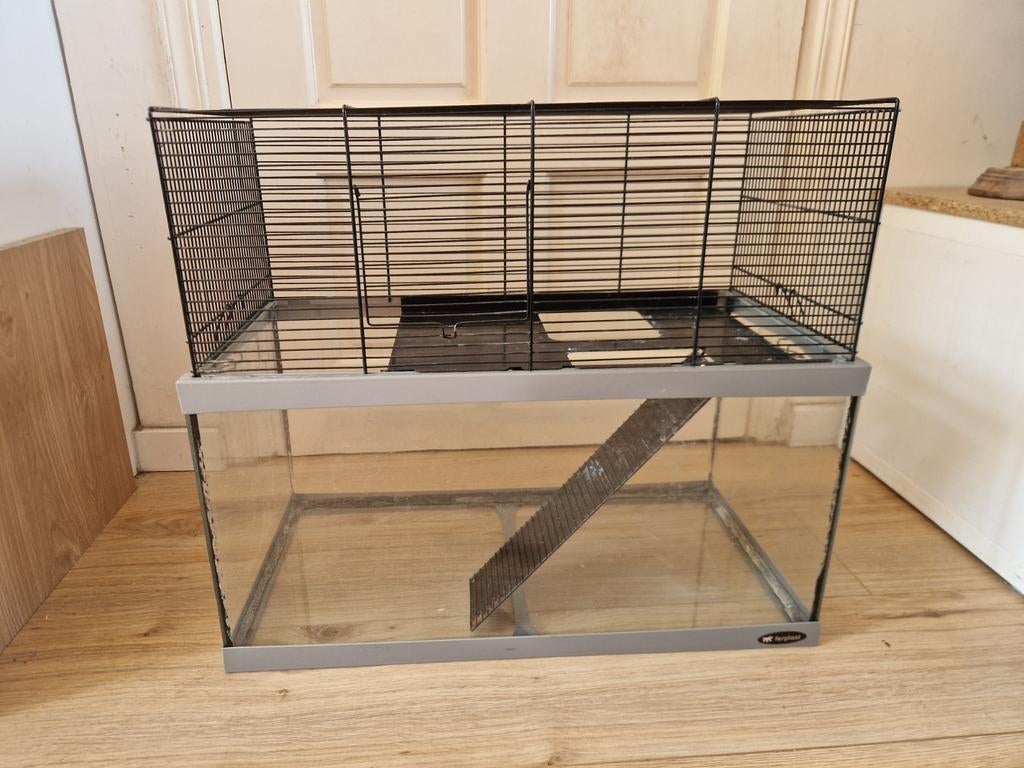 Ferplast hamsterkooi 60x30, Ophalen, Kooi, Gebruikt, 60 tot 90 cm