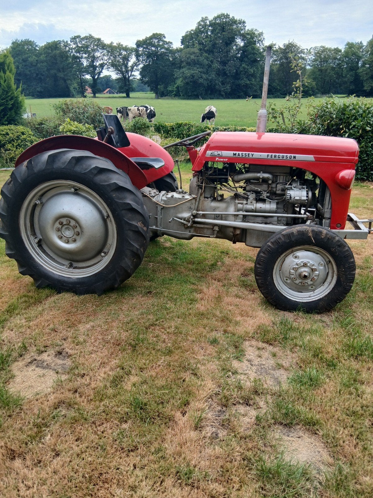 Mf tef( oldtimer Timer)en alligator kuilhapper., Ophalen, Veehouderij, Oogstmachine