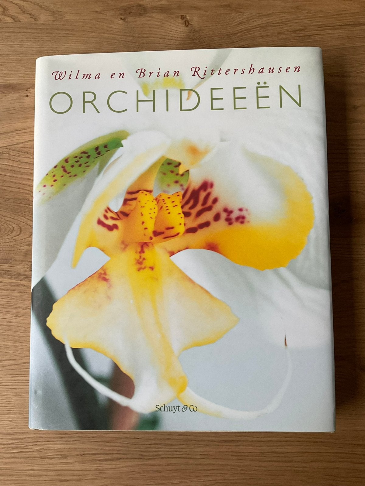 B. Rittershausen - Orchideeen, Ophalen of Verzenden, Gelezen, Bloemen, Planten en Bomen