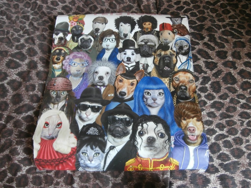 Poster pets rock Jackson David Bowie Elton John hondenkop, Minder dan 50 cm, Ophalen of Verzenden, Zo goed als nieuw, Foto of Poster
