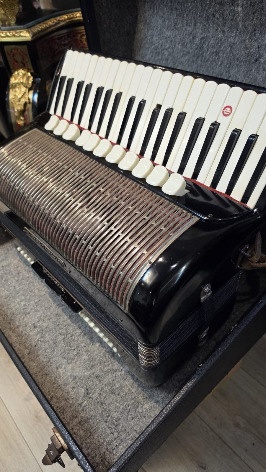 Cantulia Bloctava Accordeon 120 Bass - 4 korg riem 11+3 rgst, Overige formaten, Zo goed als nieuw, Met koffer, Hohner