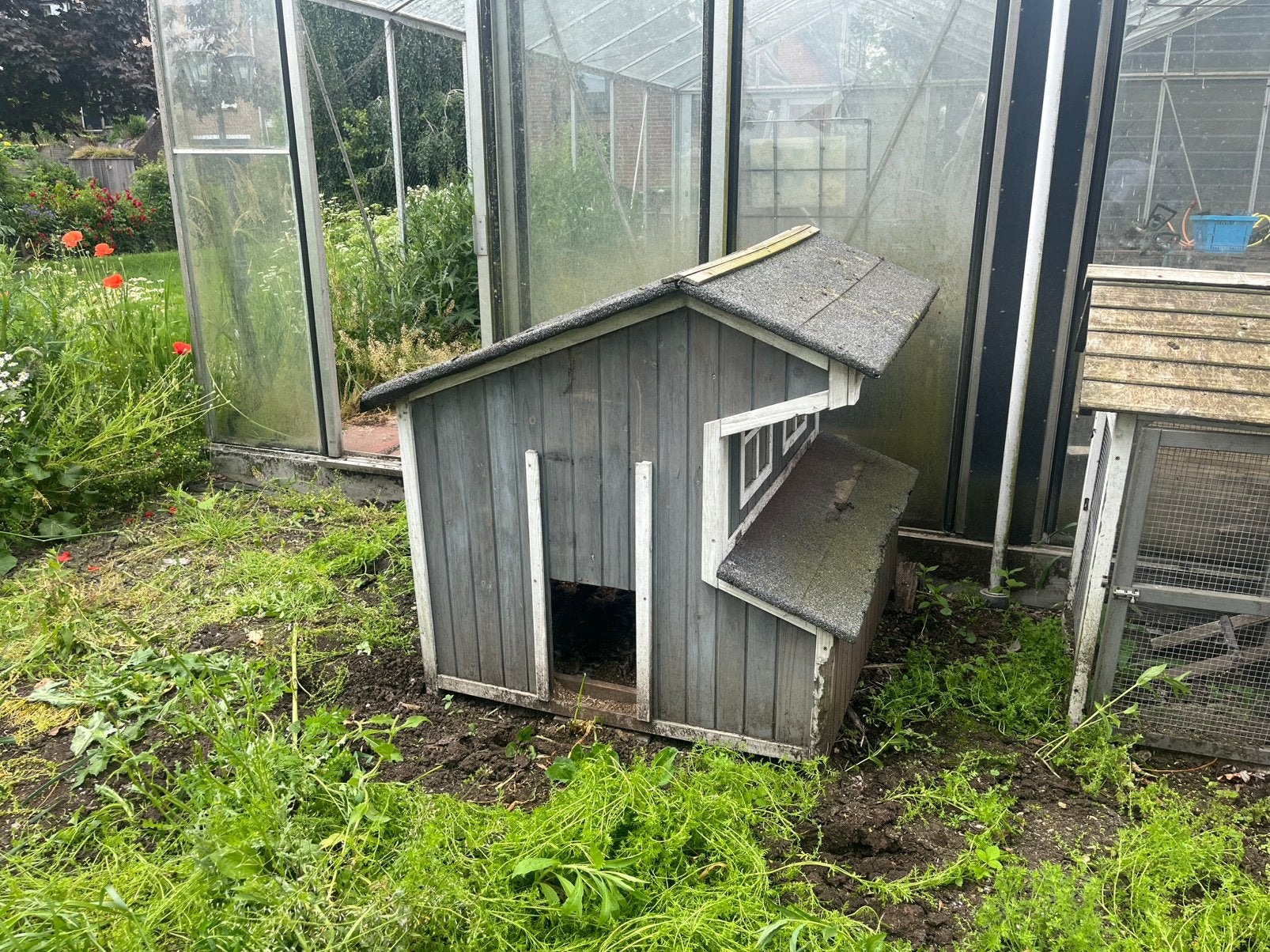 Kippenhok, Dieren en Toebehoren, Vogels | Hokken en Kooien, Ophalen, Gebruikt, Hout, Overige typen