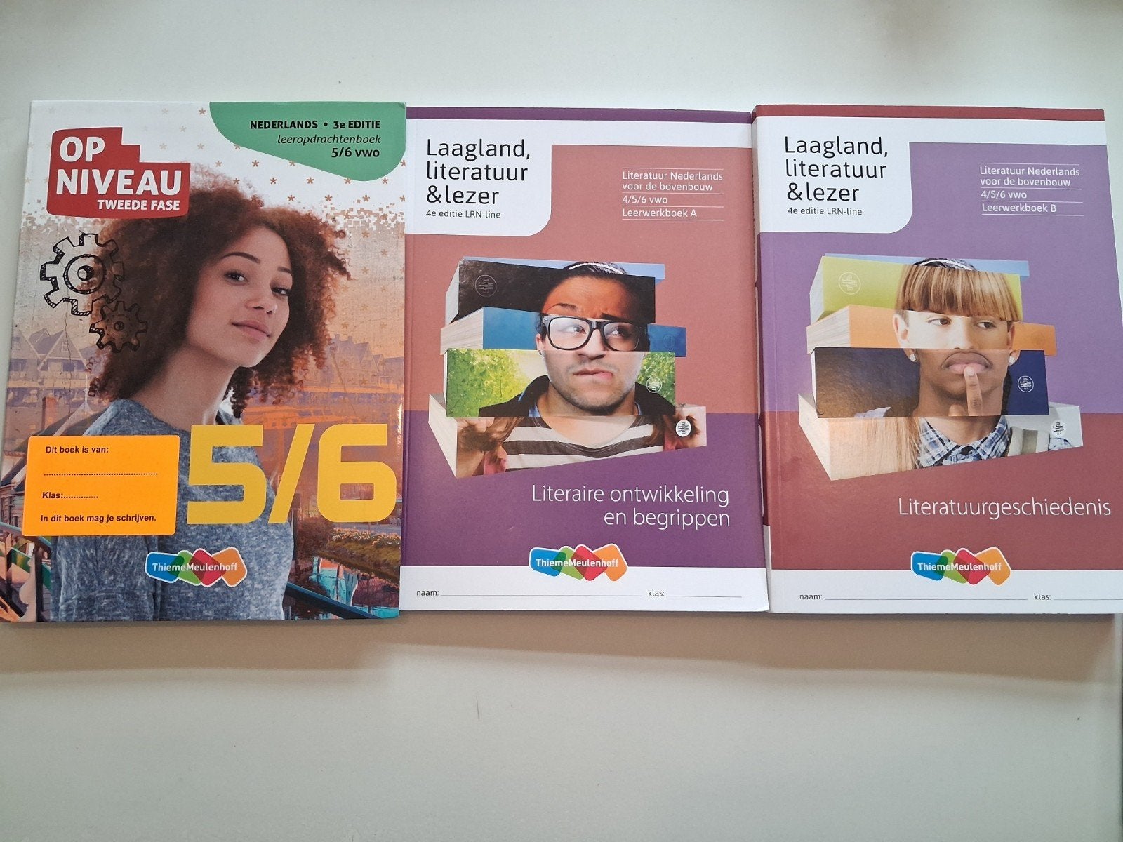 Nederlands VWO boeken: Op Niveau,Laagland gratis bundel, Ophalen, Gelezen, VWO, Nederlands