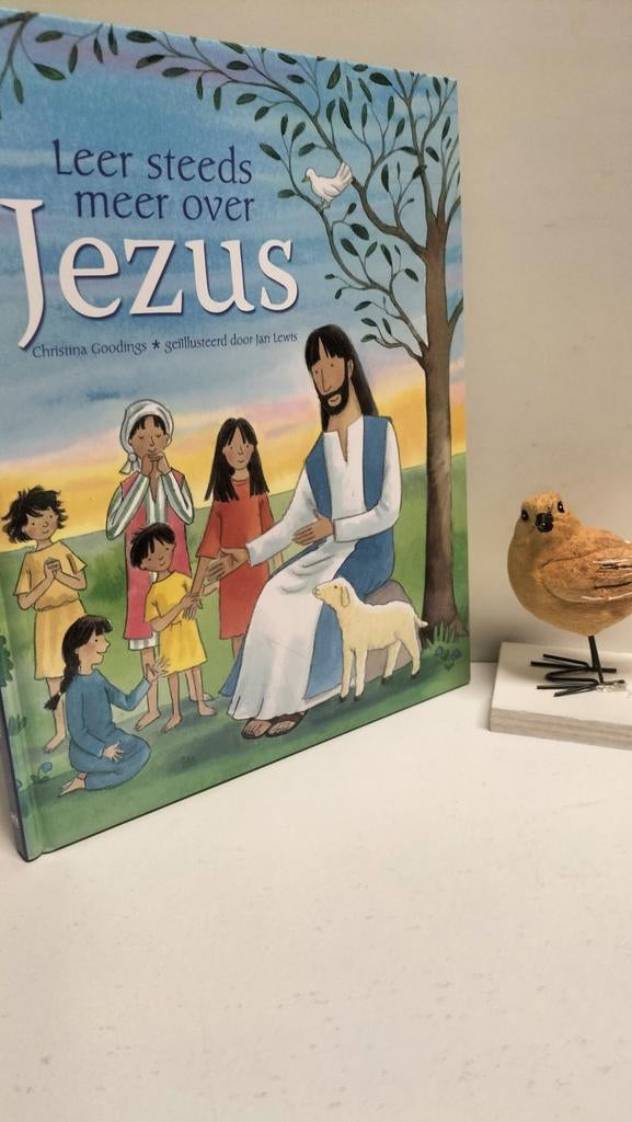 Goodings, Christina; Leer steeds meer over Jezus, Ophalen of Verzenden, Gelezen, Christendom | Protestants