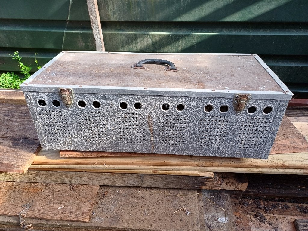 aluminium duivenmand, Meerdere dieren, Postduif
