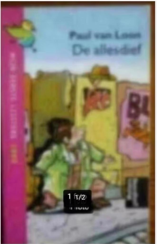 De allesdief door Paul van Loon, Ophalen of Verzenden, Gelezen, Fictie algemeen