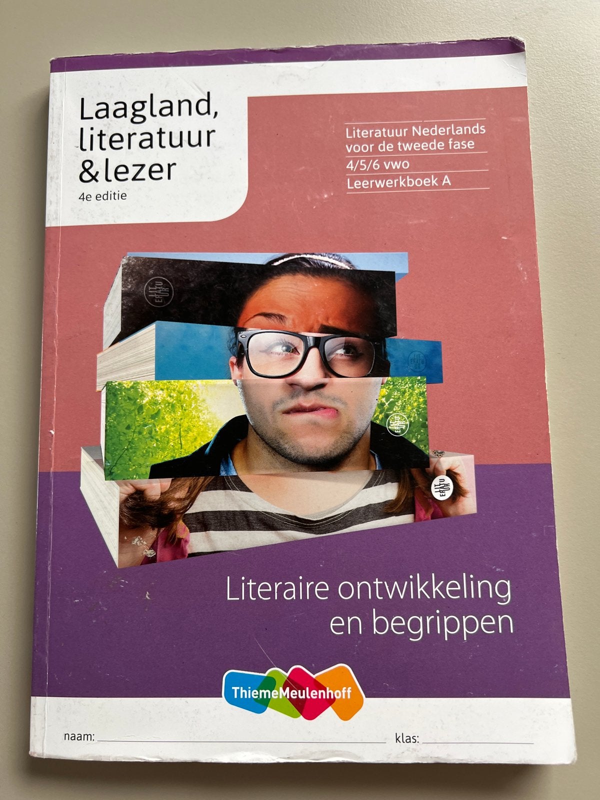 Laagland, literatuur & lezer 4e editie VWO leerwerkboek A, Boeken, Ophalen of Verzenden, Alpha, Gelezen, WO