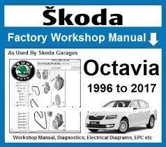 Skoda Octavia 1996-2017 Elsawin 6.0 op USB stick, Verzenden