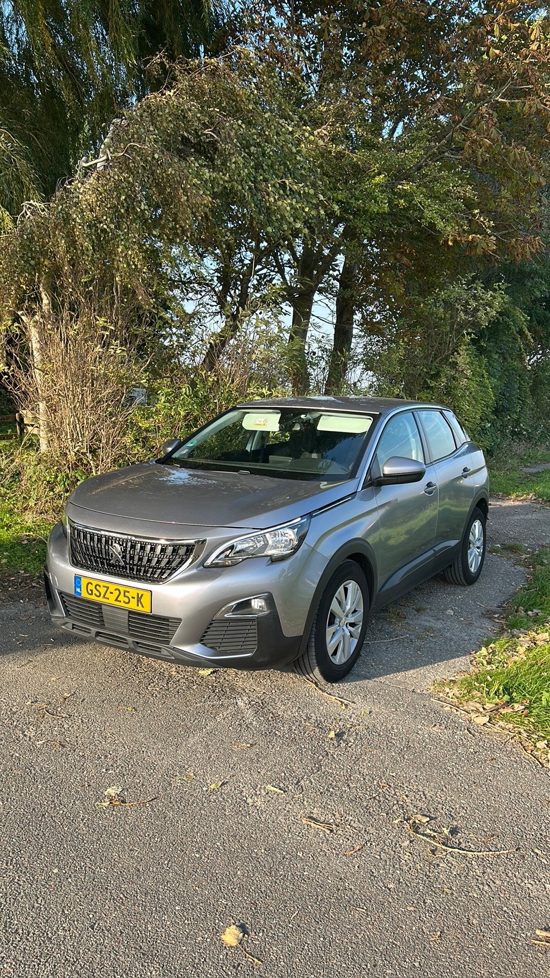 Peugeot 3008 1.2 Puretech 130pk S&S EAT 2019 Grijs, Stof, 1199 cc, 690 kg, 3 cilinders