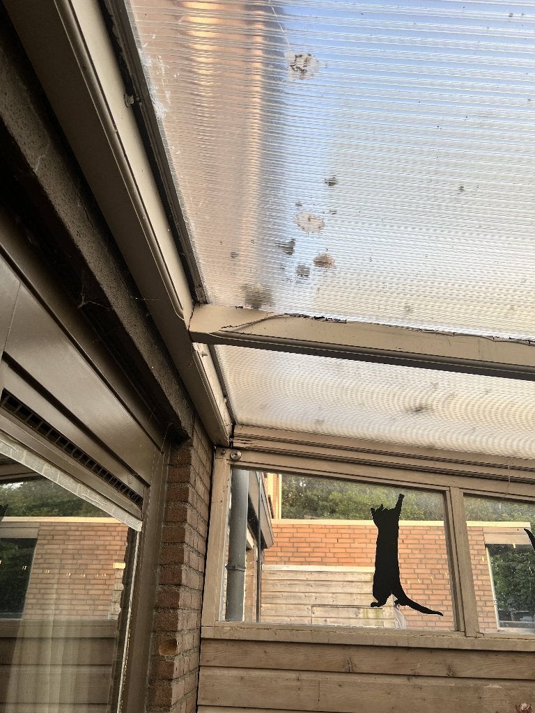 GRATIS VERANDA 5,2 x 3m–Zelf demonteren en meenemen–Maarssen, Tuin en Terras, Overkappingen, Ophalen, Gebruikt, Veranda