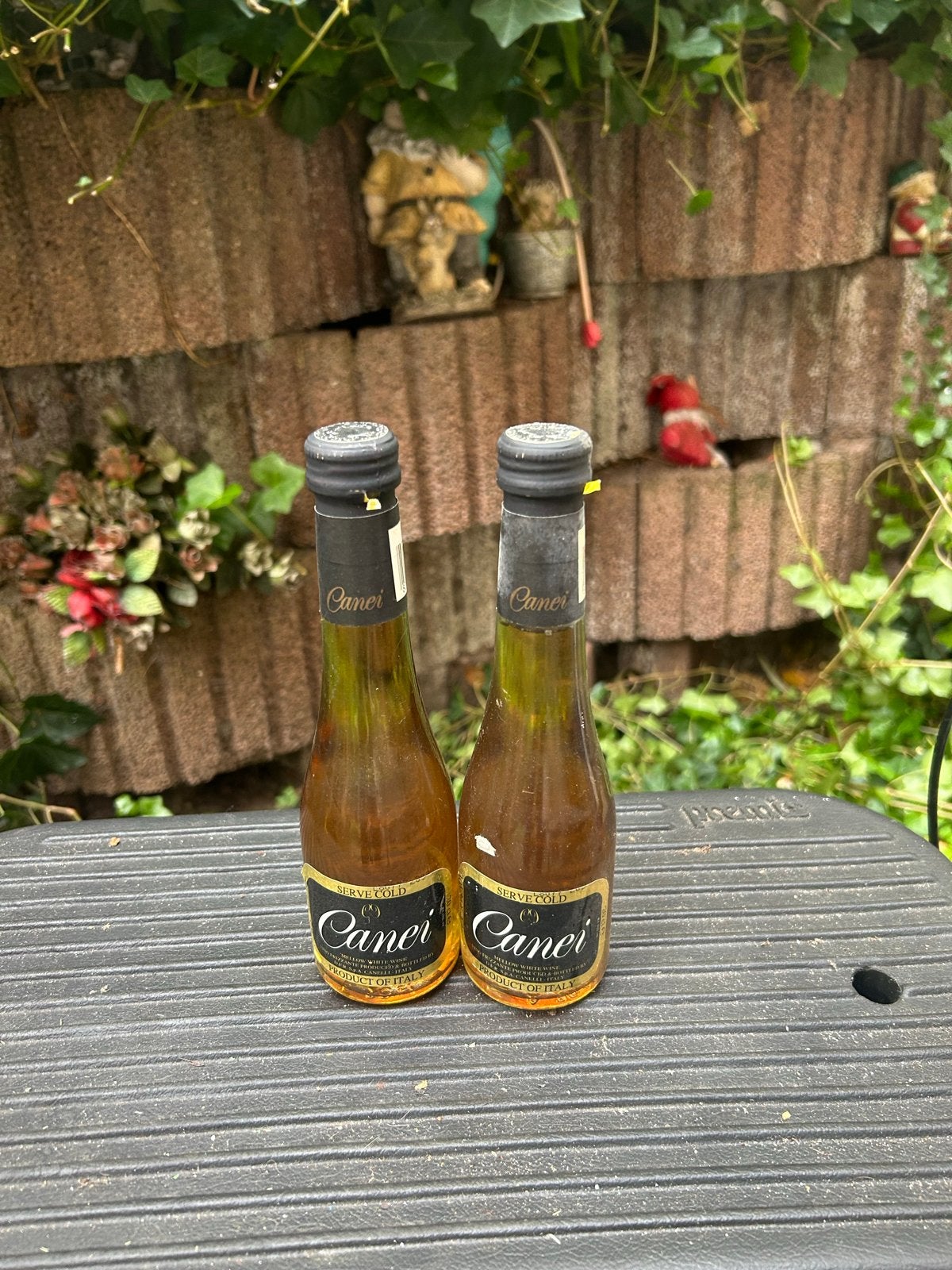 2 Flesjes Canai Wijn - Product uit Italië, Ophalen, Gebruikt, Italië, Overige typen