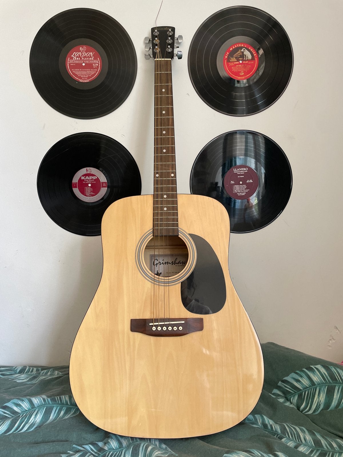 Grimshaw by Richwood gitaar - FG-229-41 NT, Ophalen of Verzenden, Gebruikt, Western- of Steelstringgitaar