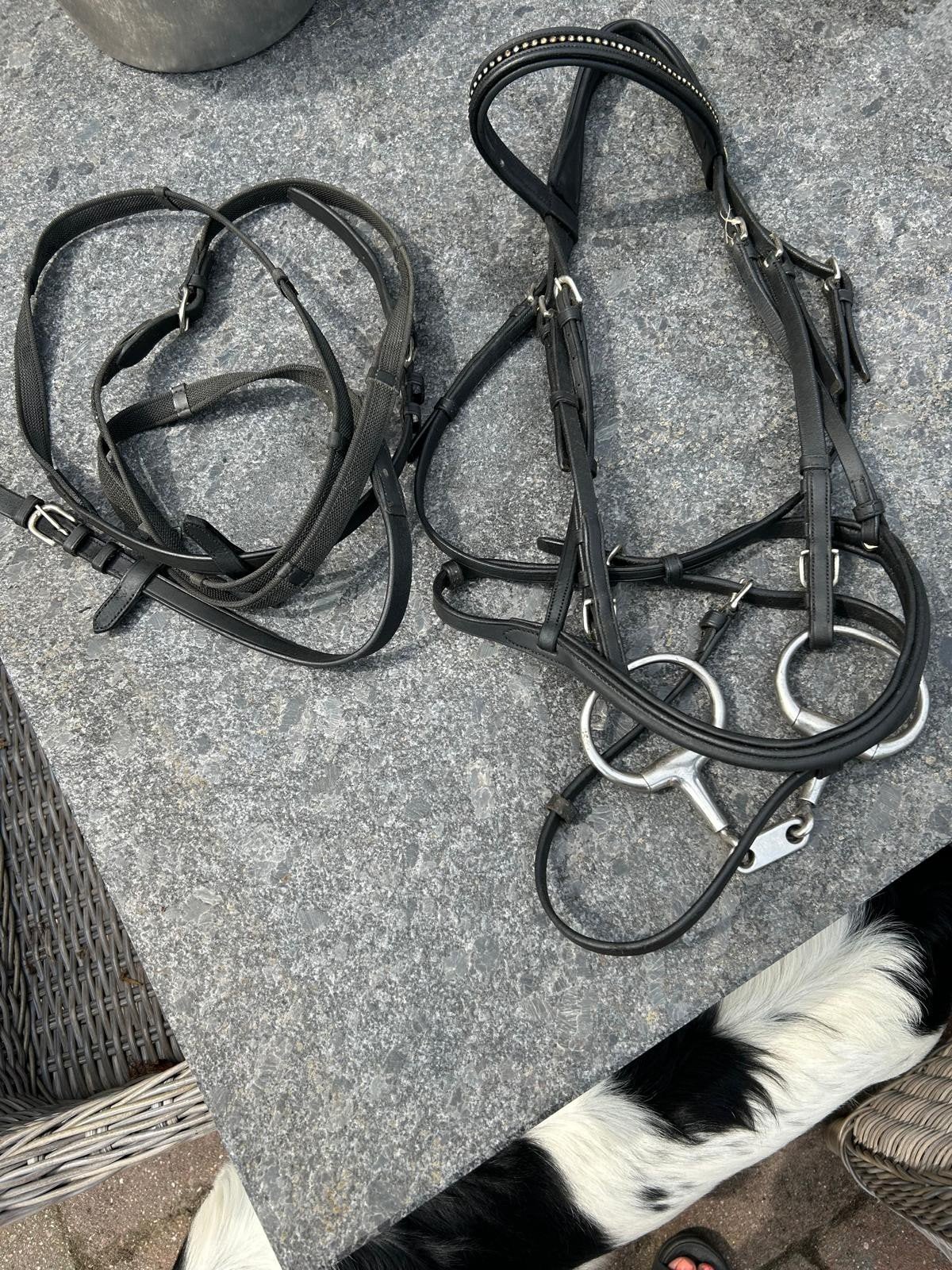 hoofdstel paard, Hoofdstel, Recreatie, Ophalen of Verzenden, Zwart