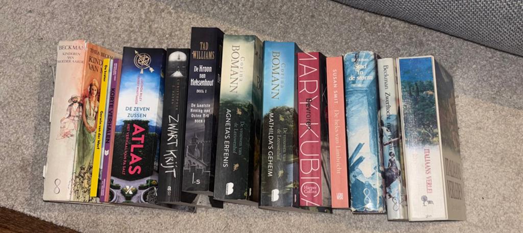 Boeken (los te koop), Boeken, Ophalen of Verzenden, Gelezen