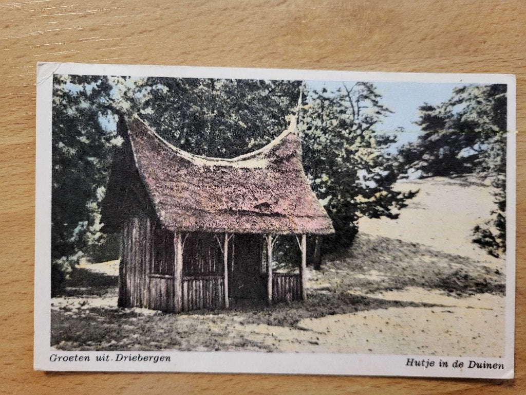ansicht Driebergen Rijsenburg Hutje in de Duinen, Ophalen of Verzenden, Voor 1920, Utrecht