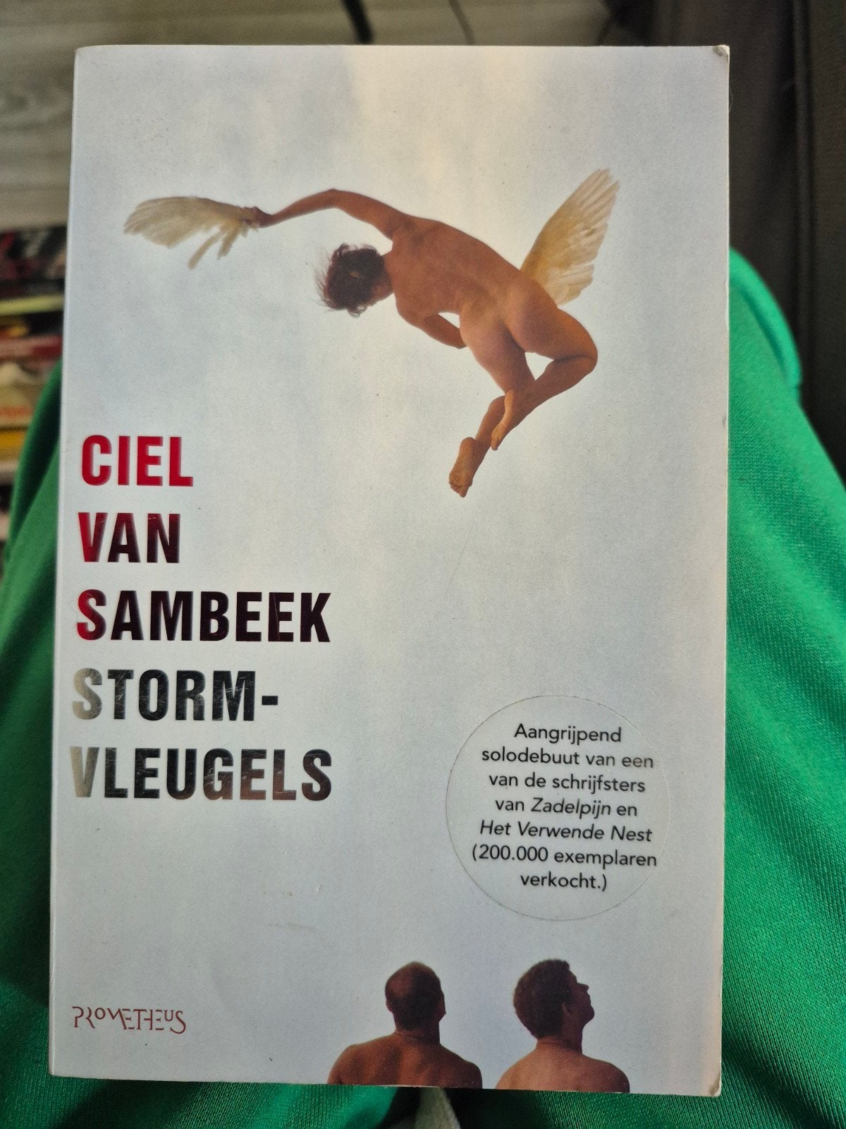 Stormvleugels - Ciel van Sambeek (Roman), Boeken, Ophalen of Verzenden, Zo goed als nieuw, Ciel van Sambeek, Nederland