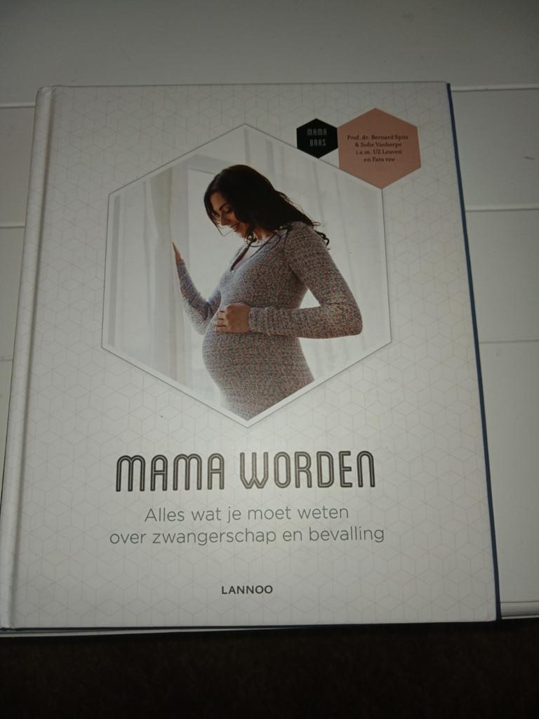 Mama Worden: Alles over zwangerschap en bevalling, Boeken, Zwangerschap en Opvoeding, Ophalen of Verzenden, Zo goed als nieuw