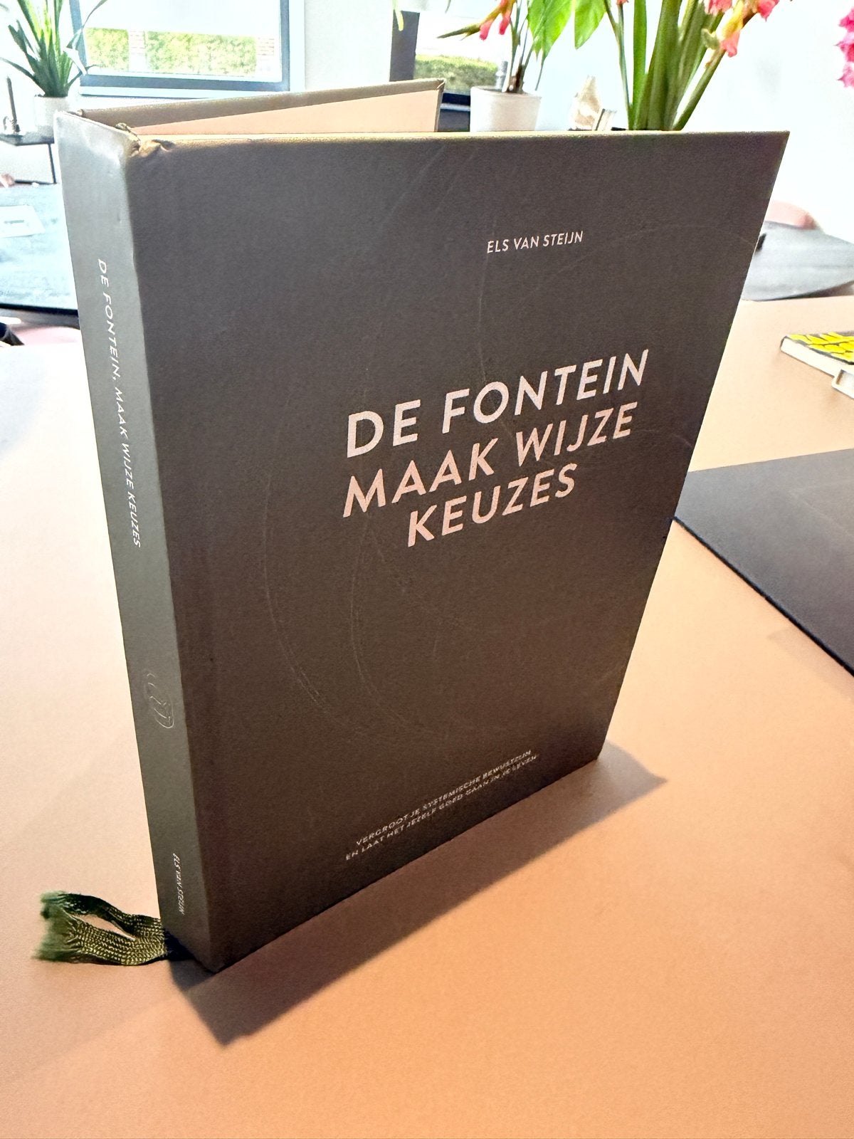 De Fontein: Vind je plek - Els van Steijn, Ophalen of Verzenden, Gamma, Zo goed als nieuw, Niet van toepassing