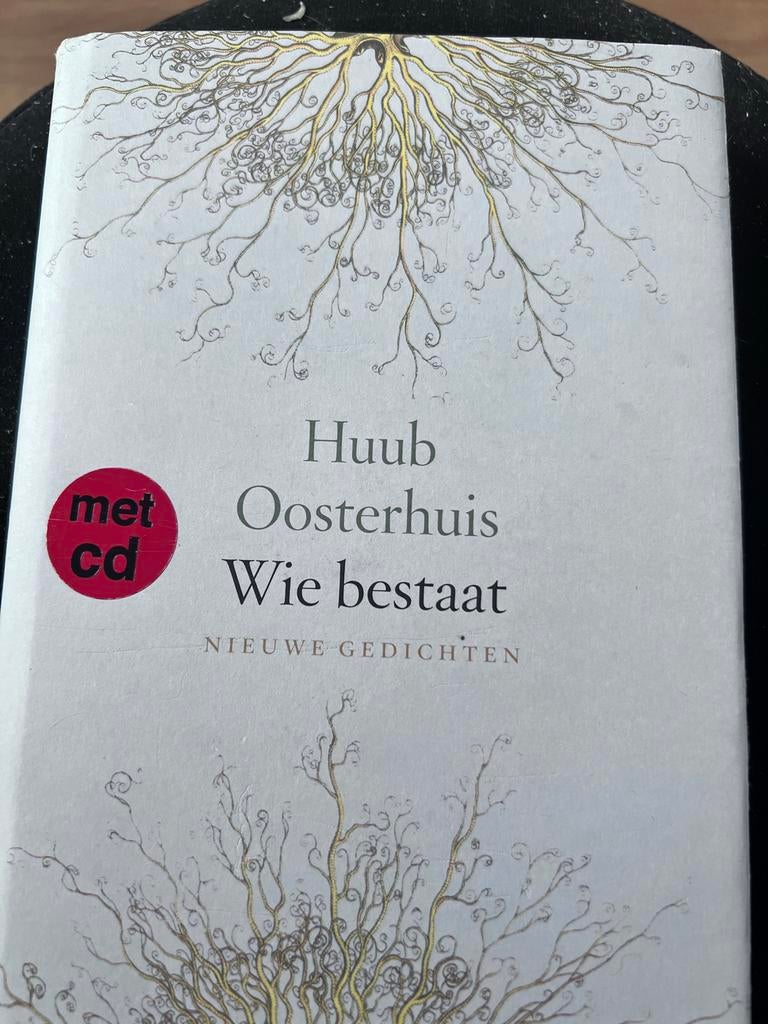 Huub Oosterhuis - Wie bestaat (Nieuwe gedichten met CD), Ophalen of Verzenden, Zo goed als nieuw, Eén auteur