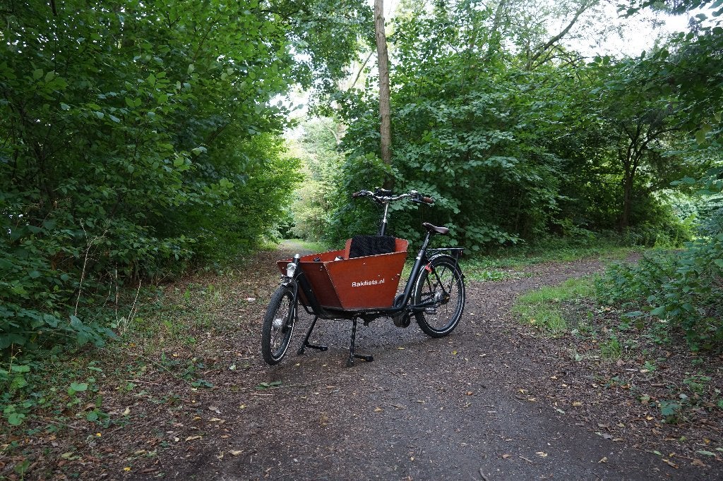 Elektrische Bakfiets Short - Bakfiets nl, Ophalen, Gebruikt, 4 kinderen of meer