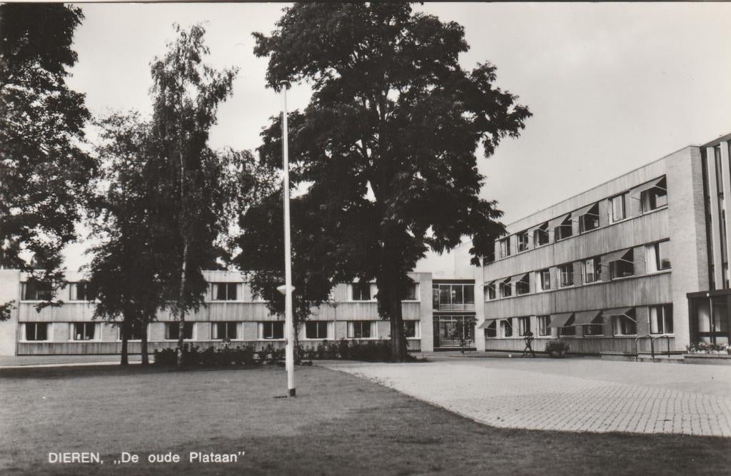 dieren- de oude plataan, Ophalen of Verzenden, Gelderland