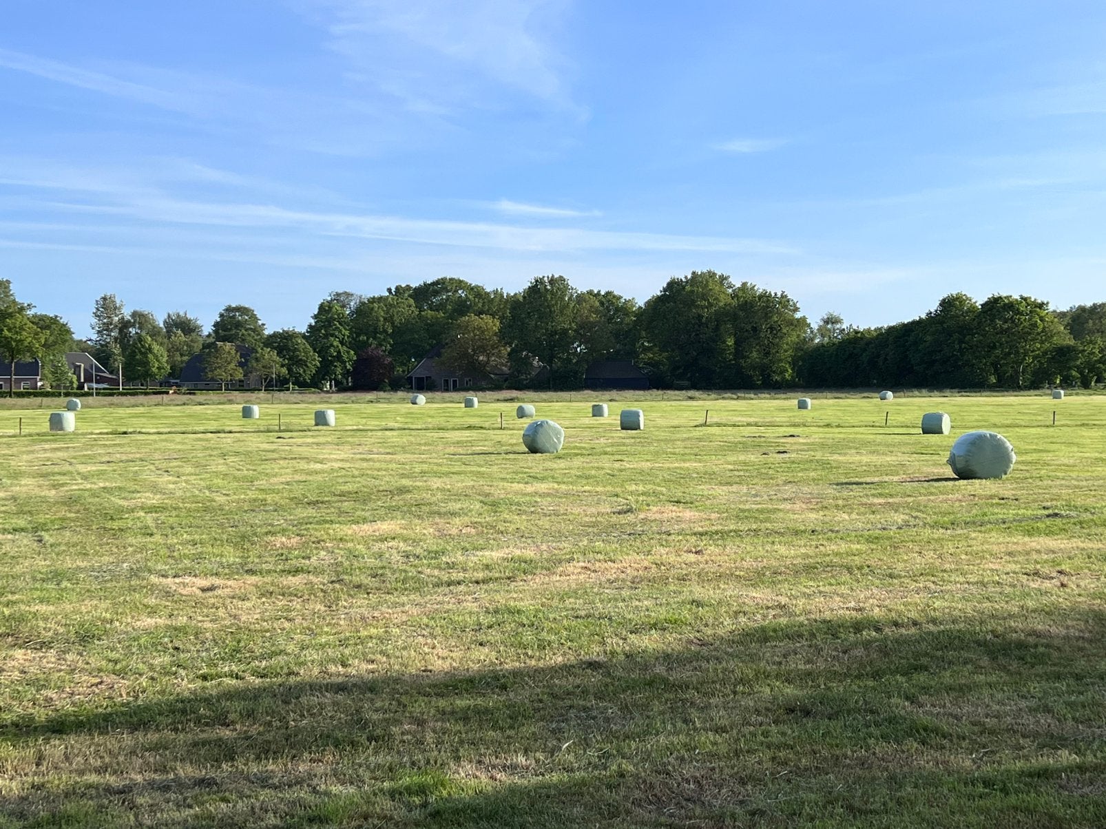 Midi balen af land, Ophalen, Vee