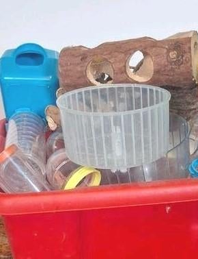 Hamster spullen, Kooi, Gebruikt, Minder dan 75 cm, Hamster