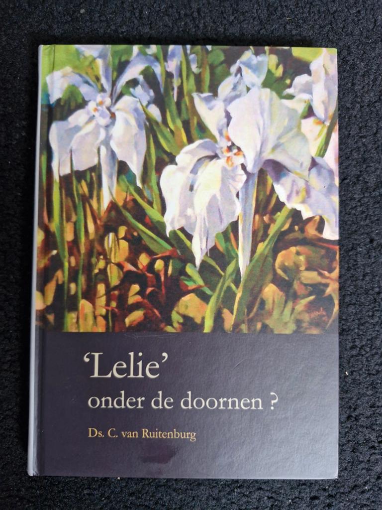 Lelie onder de doornen? Ds. C. van Ruitenburg, Boeken, Ophalen of Verzenden, Zo goed als nieuw, Ds. C. van Ruitenburg, Christendom | Protestants