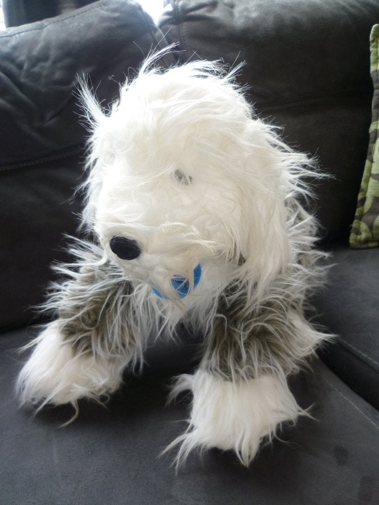 Langharig sier hondje uit New Zealand, Ophalen, Zo goed als nieuw, Hond