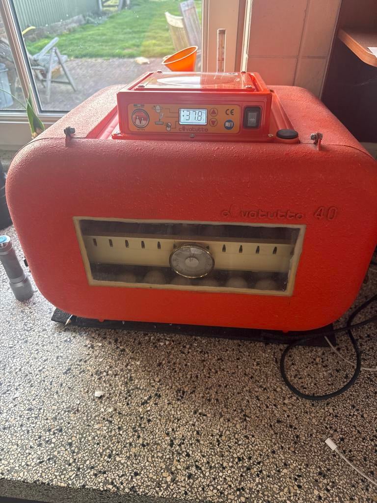 Zoek een  cuvotutto broedmachine, Dieren en Toebehoren, Ophalen, Broedmachine