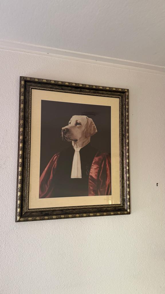 Ingelijste poster van hond in toga, Ophalen
