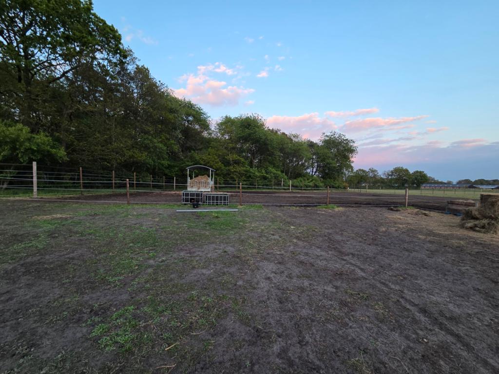 Pension stalling aangeboden, Weidegang, 2 of 3 paarden of pony's