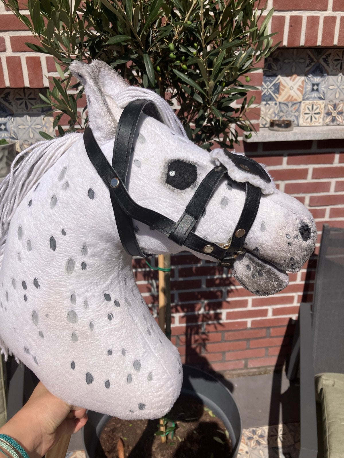 Mexicaans hobbyhorse hoofdstel, Ophalen of Verzenden, Gebruikt, Jongen of Meisje