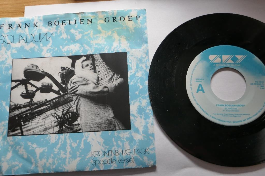 Single: Frank Boeijen Groep – Schaduw, Cd's en Dvd's, Ophalen of Verzenden, Gebruikt, Overige formaten, Levenslied of Smartlap