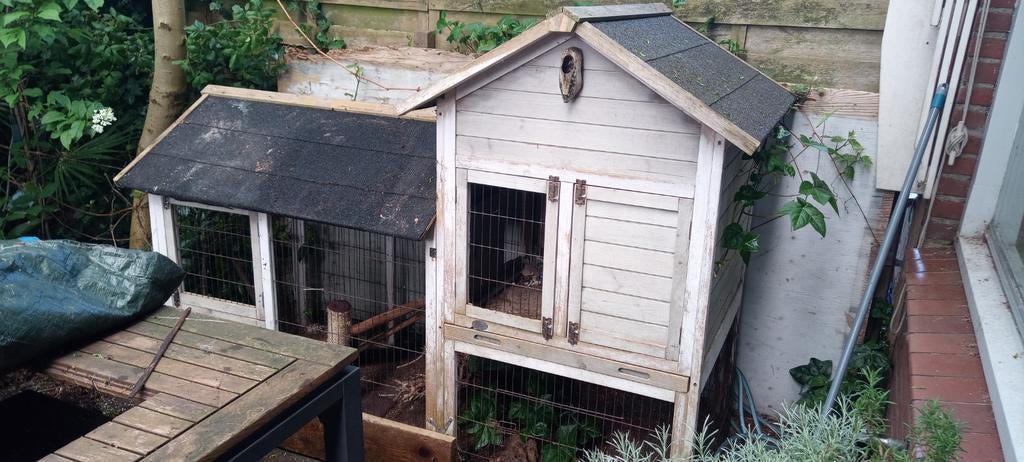Groot hok voor konijnen, kippenhok, kittens van der Poel, Ophalen, 90 cm of meer, Ren, 110 cm of meer