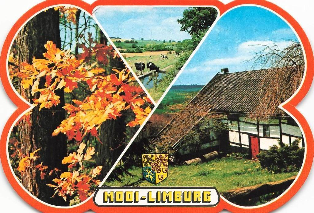 Mooi Limburg, Ophalen of Verzenden, 1960 tot 1980, Gelopen, Limburg