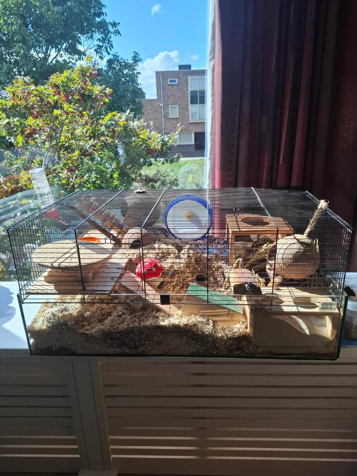 hamster kooi/ terrarium, Dieren en Toebehoren, Ophalen, Zo goed als nieuw