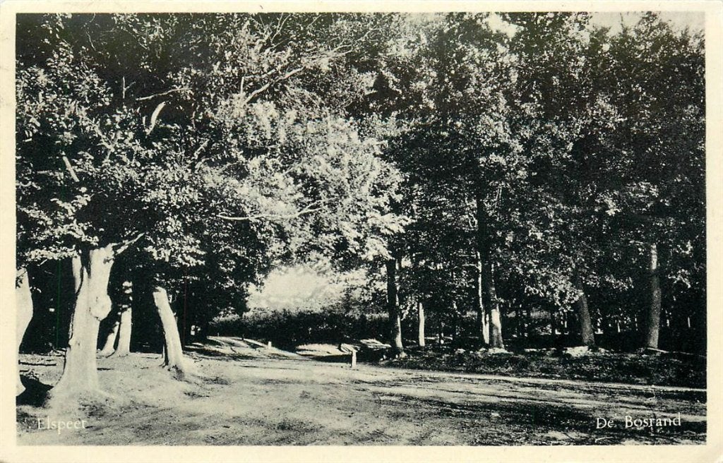 379-189-025 Elspeet  De Bosrand, Verzamelen, Ansichtkaarten | Nederland, Gelderland, Voor 1920, Verzenden