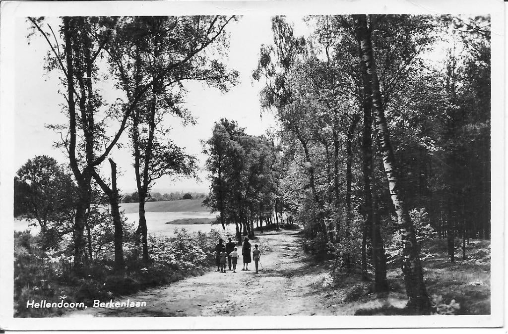 Hellendoorn Berkenlaan., Ophalen of Verzenden, 1940 tot 1960, Gelopen, Overijssel