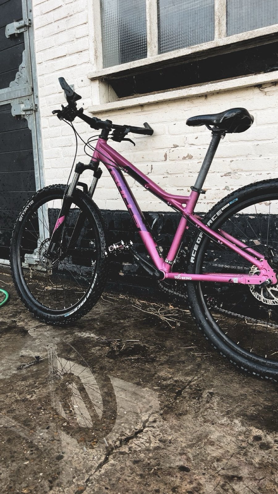 Bulld roze moutainbike, zo goed als nieuw, Zo goed als nieuw, Dames, Ophalen, Overige merken