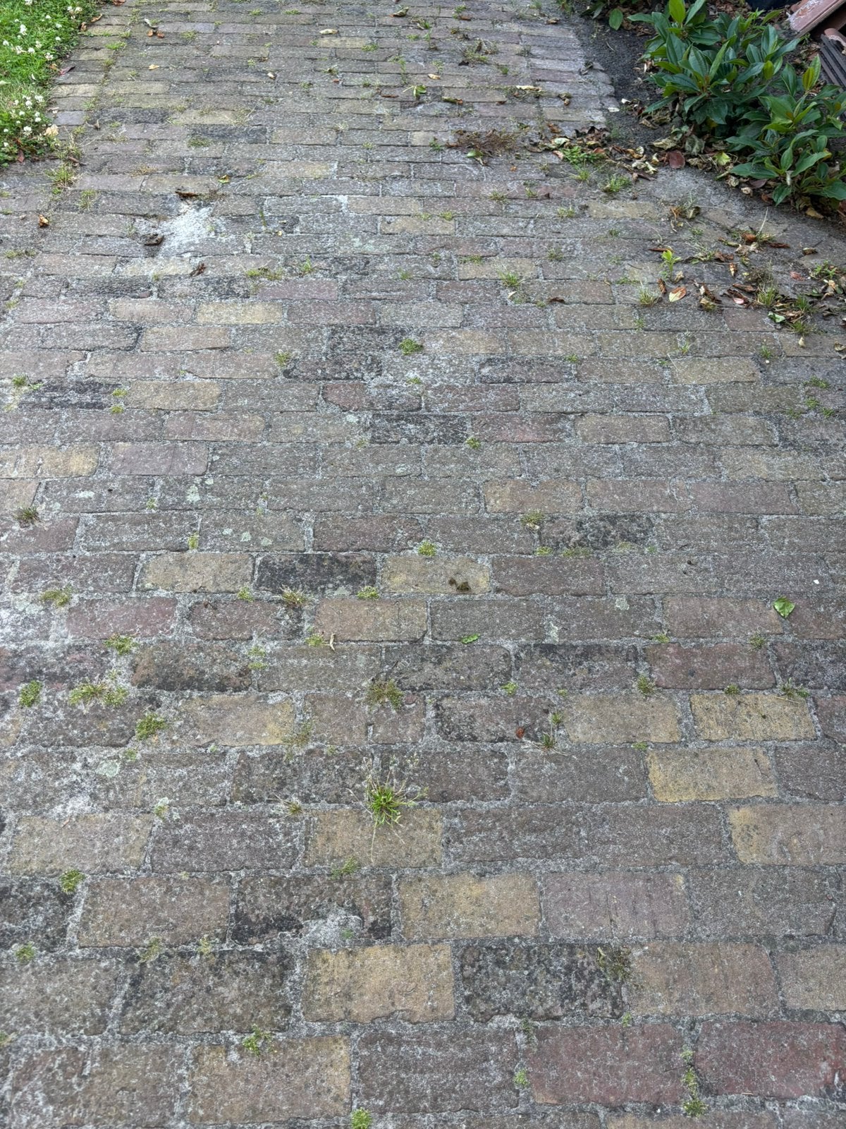 175 m2 oude gebakken kei-/dikformaat klinkers, Ophalen, Gebruikt, Keramiek, Terrastegels